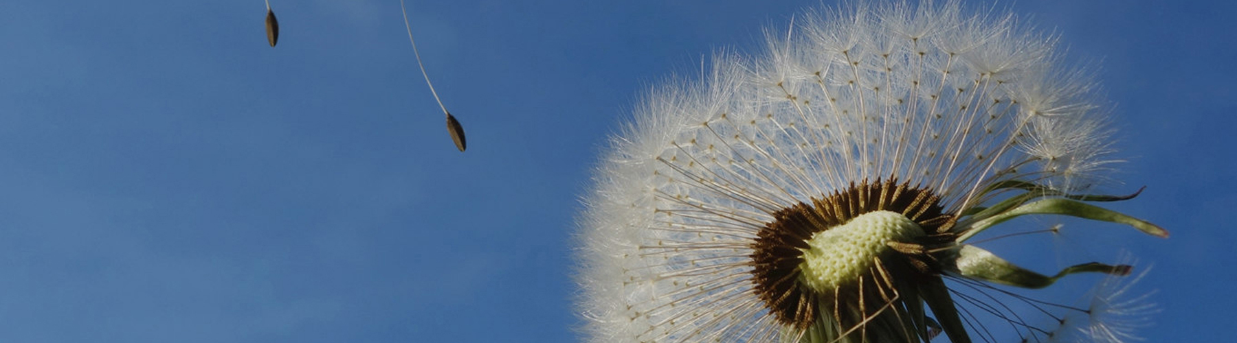 GCGC黄金城集团-官网